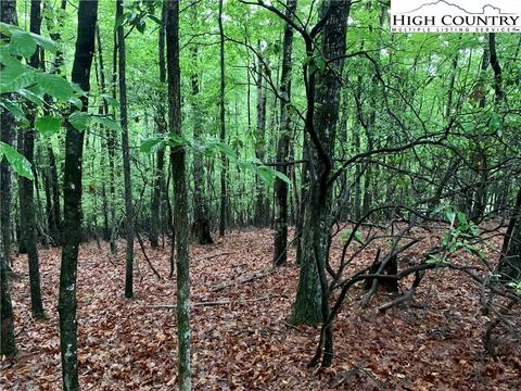 E Tbd Laurel Circle, Deep Gap, NC 28618