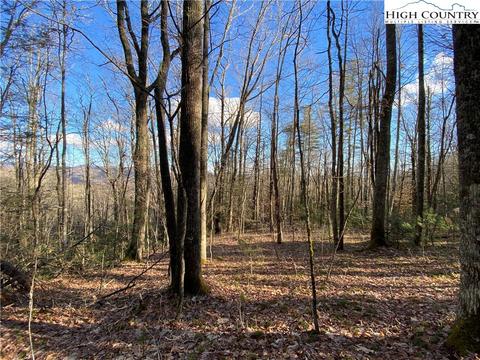 985 Locust Gap Rd, Vilas, NC 28692 photo 32
