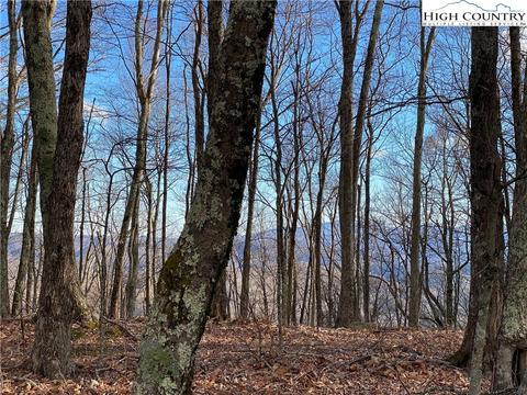985 Locust Gap Rd, Vilas, NC 28692 photo 34