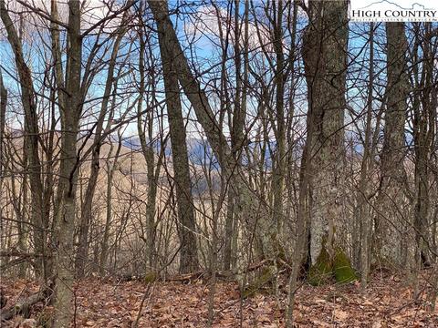 985 Locust Gap Rd, Vilas, NC 28692 photo 36