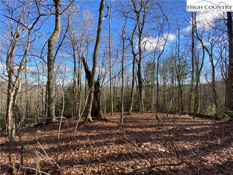 985 Locust Gap Rd, Vilas, NC 28692 photo 8