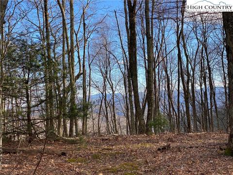 985 Locust Gap Rd, Vilas, NC 28692 photo 9