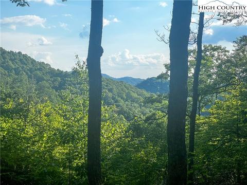 2728 Roaring Fork Rd, Creston, NC 28615 photo 28