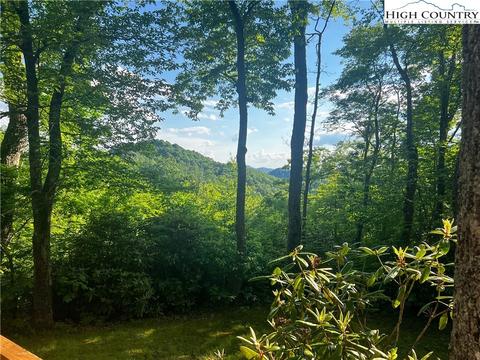 2728 Roaring Fork Rd, Creston, NC 28615 photo 27