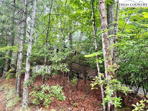 103 Cherry Ln, Deep Gap, NC 28618 photo 4