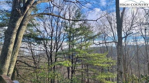 103 Cherry Ln, Deep Gap, NC 28618 photo 6