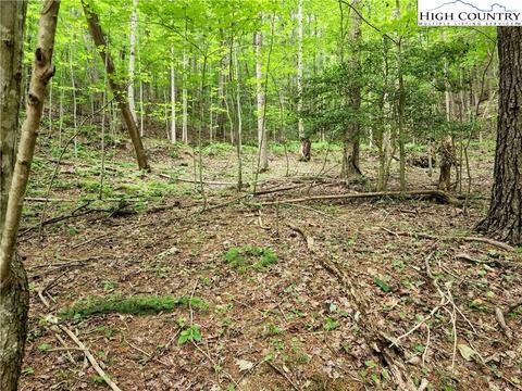 tbd Brightwood Trl, Deep Gap, NC 28618 photo 7