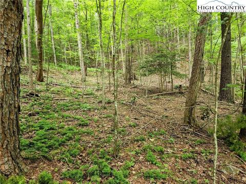 tbd Brightwood Trl, Deep Gap, NC 28618 photo 6