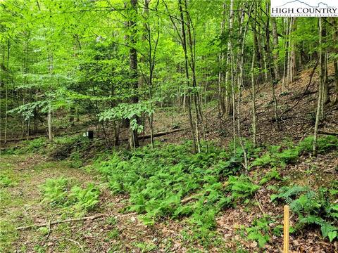 tbd Brightwood Trl, Deep Gap, NC 28618 photo 2