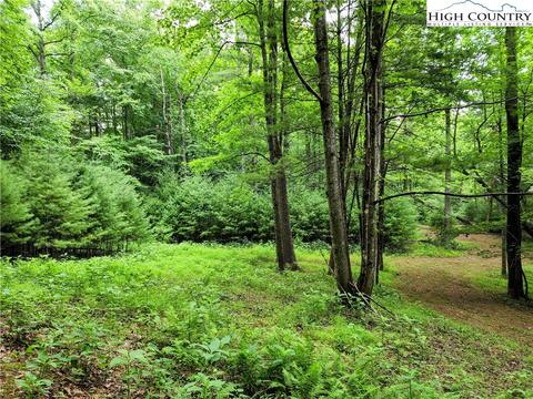 tbd Brightwood Trl, Deep Gap, NC 28618 photo 4