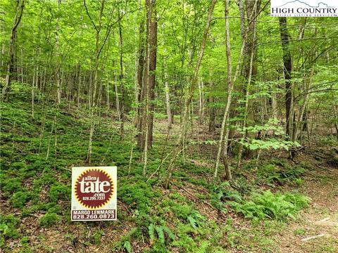 tbd Brightwood Trl, Deep Gap, NC 28618 photo 5