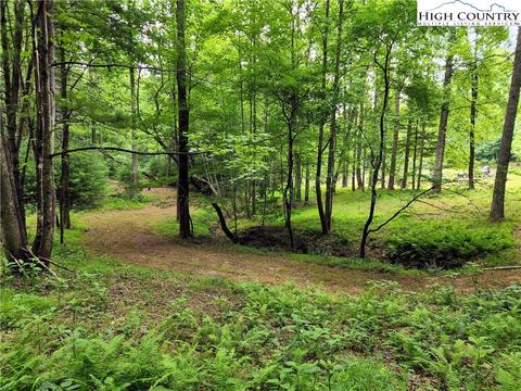 tbd Brightwood Trl, Deep Gap, NC 28618 photo 3