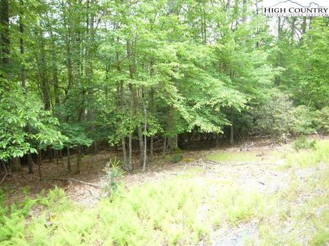 255 Poplar Dr, Beech Mountain, NC 28604 photo 1