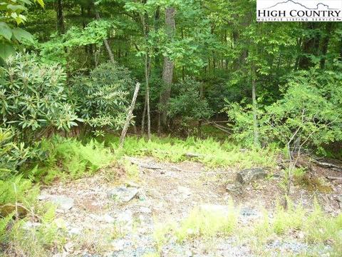 257 Poplar Dr, Beech Mountain, NC 28604 photo 1