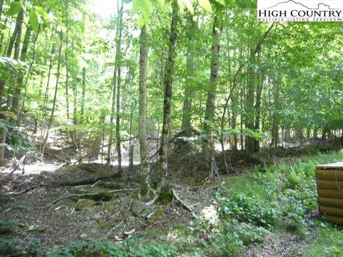 104 White Pine Ln, Beech Mountain, NC 28604 photo 1