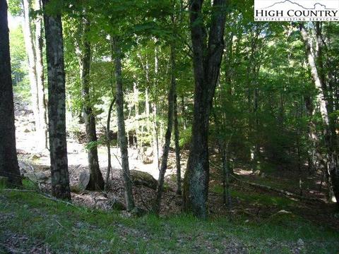 146 Lakeledge Cir, Beech Mountain, NC 28604 photo 2