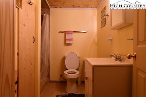 21 Maple Leaf Ln, Glade Valley, NC 28627 photo 34