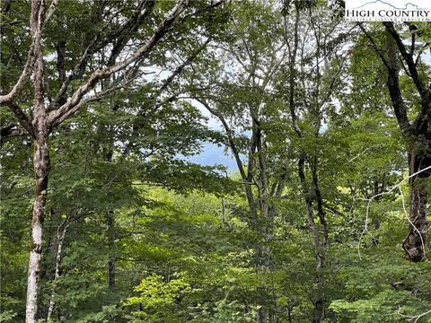 134 Village Rd, Beech Mountain, NC 28604 photo 5