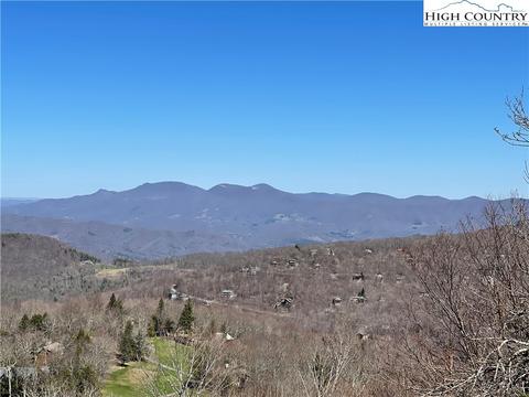 134 Village Rd, Beech Mountain, NC 28604 photo 4