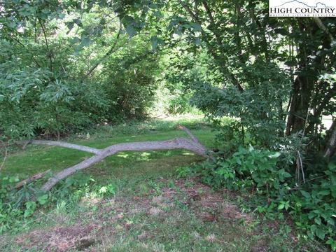 480 Flatwoods School Rd, Creston, NC 28615 photo 17