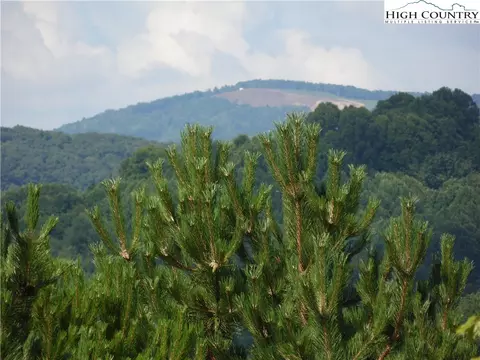 tbd Holly Hill Dr #14, Sparta, NC 28675