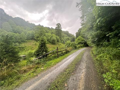 645 Parker Rd, Creston, NC 28615 photo 1