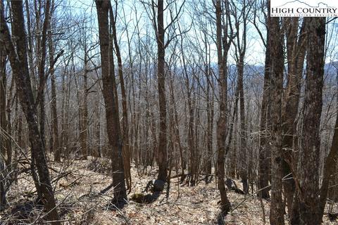 TBD Holiday Lane, Whitetop, VA 24292