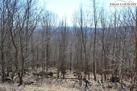 TBD Holiday Lane, Whitetop, VA 24292