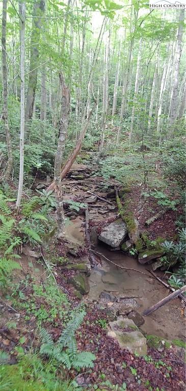 311 Jackpine Rd, Beech Mountain, NC 28604 photo 6