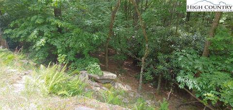 311 Jackpine Rd, Beech Mountain, NC 28604 photo 3