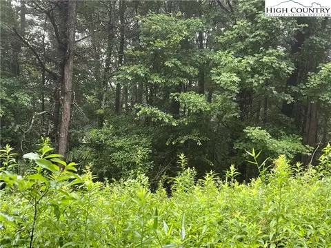39 Nikanor Road, West Jefferson, NC 28694