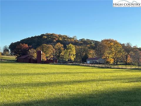 2353 Low Gap Rd, Mouth Of Wilson, VA 24363