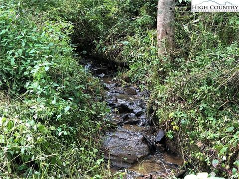 3037 Roaring Fork Rd, Creston, NC 28615 photo 2