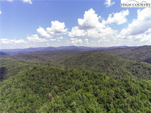 160 Buckaroo Rd, Ferguson, NC 28624 photo 2