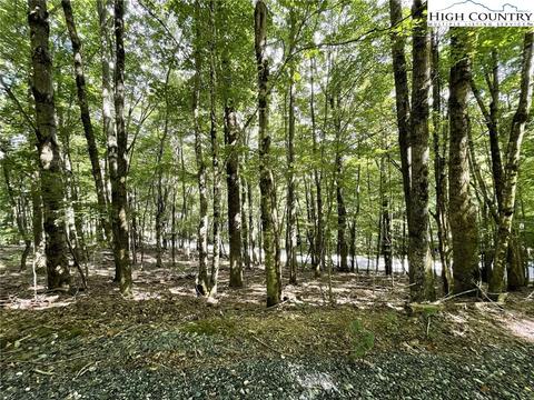 000 Devils Lake Dr, Seven Devils, NC 28604 photo 8