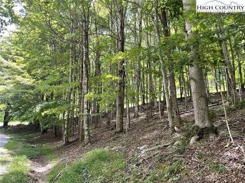 000 Devils Lake Dr, Seven Devils, NC 28604 photo 7