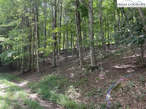 000 Devils Lake Dr, Seven Devils, NC 28604 photo 6
