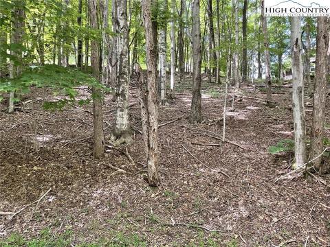 000 Devils Lake Dr, Seven Devils, NC 28604 photo 2