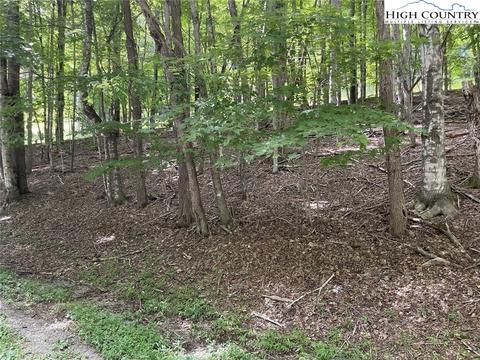 000 Devils Lake Dr, Seven Devils, NC 28604 photo 3