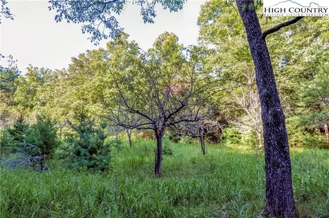 2434 Shoe Rd, Purlear, NC 28663