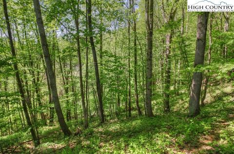 7 Yasmine Lane, Vilas, NC 28692