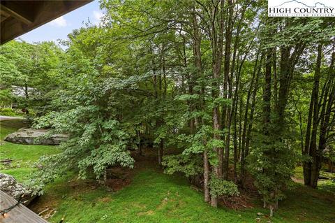 189 Hawks Lake Dr, Seven Devils, NC 28604 photo 5