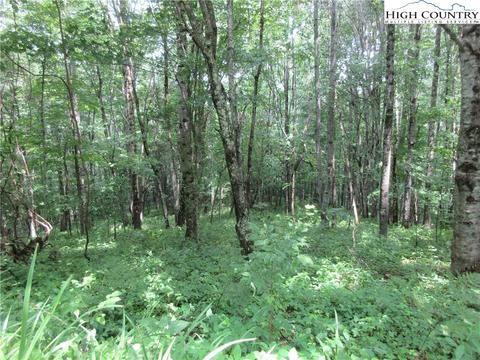 TBD Big Windfall Road, Lansing, NC 28643 photo 7