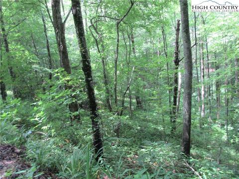 TBD Big Windfall Road, Lansing, NC 28643 photo 2
