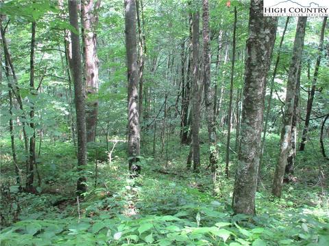 TBD Big Windfall Road, Lansing, NC 28643 photo 6