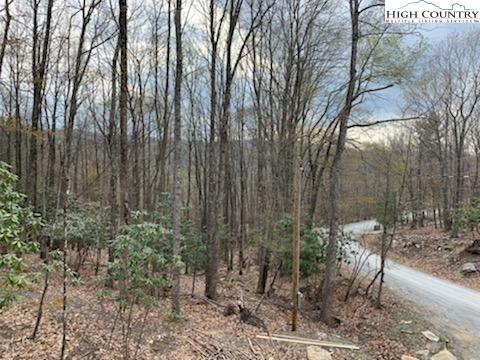 119 Rhododendron Dr, Beech Mountain, NC 28604 photo 15