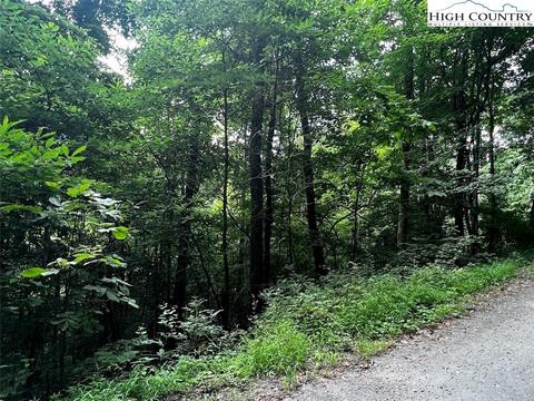 tbd Phillips Gap Rd, Purlear, NC 28665 photo 21