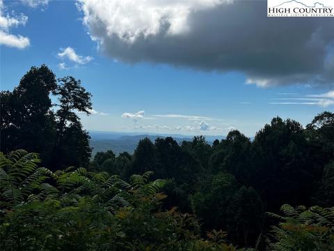 tbd Phillips Gap Rd, Purlear, NC 28665 photo 24