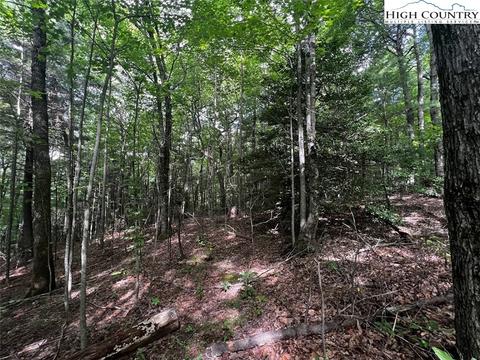tbd Phillips Gap Rd, Purlear, NC 28665 photo 16