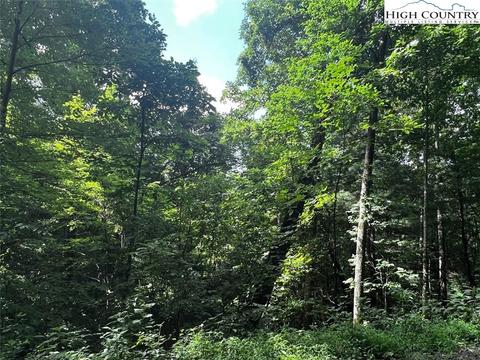 tbd Phillips Gap Rd, Purlear, NC 28665 photo 19